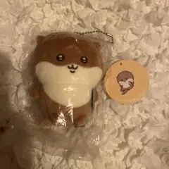 Item thumbnail for item e4eca421-9e1f-4edf-832d-63f071ac3921