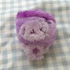 NCT WISH color popup MD wishdoll バブルニャン