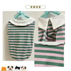 【在庫処分】犬服 ポロシャツ Tシャツ 春夏 可愛いストライプ 通気性 ペット服