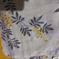 Item thumbnail for item 1f4705d4-d8d7-43d6-9b99-e31be66fe78b