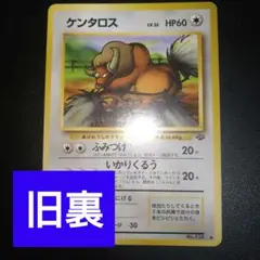 【旧裏ポケカ】ケンタロス　ふみつけ