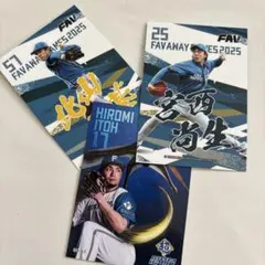 Item thumbnail for item 9a2fcda4-792f-48a8-adeb-576e746ad243