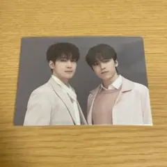 SEVENTEEN セブチ ウォヌ バーノン ケミトレカ HARE ペア