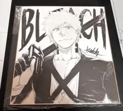 レア！直筆原画 タイムシート付 動画 ラフ画 BLEACH 朽木ルキア 34枚