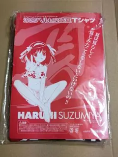 涼宮ハルヒの憂鬱 雑誌の付録