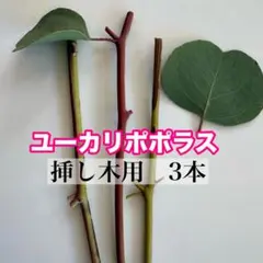 バヤシ様 リクエスト 2点 まとめ商品