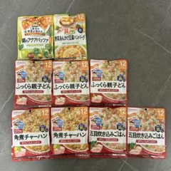 WAKODO 離乳食　9個セット　12ヶ月　BIG