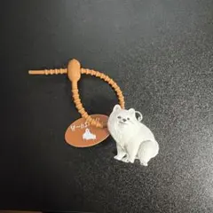 ふんばりーぬ　ポメラニアン