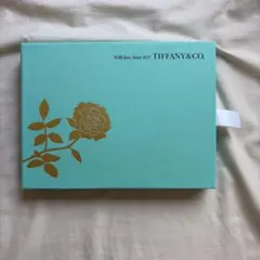 TIFFANY&CO. レターセット　非売品　手紙封筒5枚セット