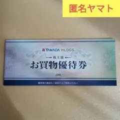 ヤマダ電機　お買物優待券 10枚　5000円分