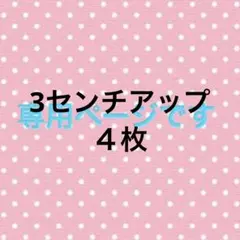 名前ワッペン　ほし　ホシ　星　スター　ゼッケン　名札