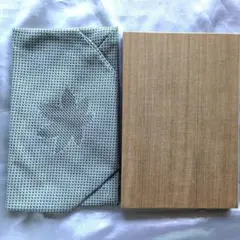 Item thumbnail for item cbb9ad66-0ce8-4ef9-b941-a829377adbbf