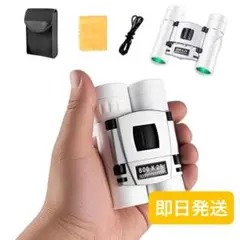 Item thumbnail for item f5613b59-7f3f-4c31-babe-48eae7a11859