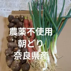 2026年最新】里芋 土垂の人気アイテム - メルカリ