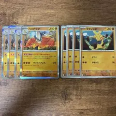 ハリテヤマ どすこいキャッチャー マクノシタ 各 4枚