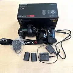 ⭐️Panasonic LUMIX G9 PRO DC-G9L レンズキットセット