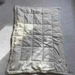 Item thumbnail for item 4b3dd69a-865f-48df-9f8f-a121ce272a42