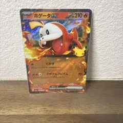 ホゲータex RR MEGA 拡張パック 30th CELEBRATION キ…