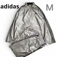 Item thumbnail for item 2e6d04e0-b776-4953-a9e3-273a35dfc5aa