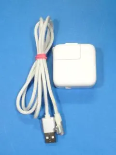 Apple iPad iPhone iPod用 アップル   A1357