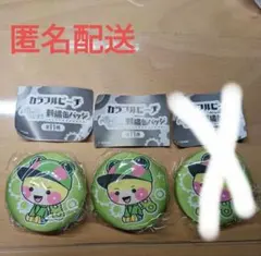 カラフルピーチ　刺繍　缶バッチ　シヴァ