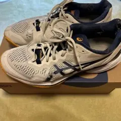 Item thumbnail for item bcea2577-1888-4386-a23f-36760eac085c