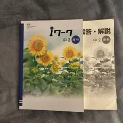 Item thumbnail for item a2f350fc-095d-4e18-bf98-ee2443dc8f3c