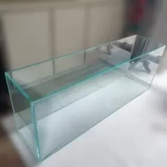 600x300x150ｍｍ　5ｍｍ厚　未使用品　苔リウム 600x300x150mm 5mm厚 未使用品 苔リウム - メルカリ
