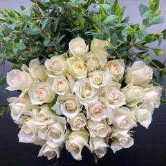 maishop様専用　6日発