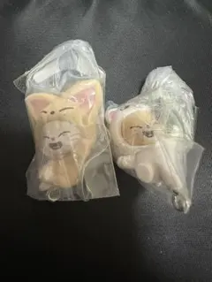 SKZOO つまんでつなげてますこっと ジニレット フォクシニ2個セット