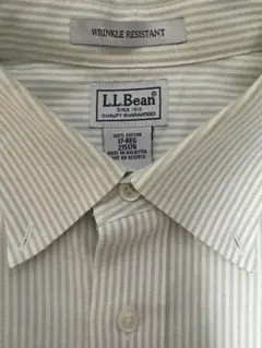 【L.L.Bean】防シワ加工 コットン100% 半袖ストライプシャツ