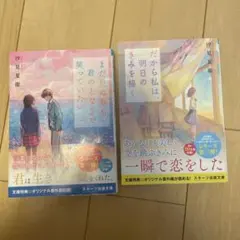汐見夏衛 恋愛小説 2冊セット
