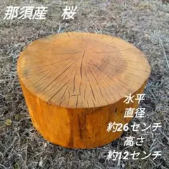 Item thumbnail for item 59d5338b-dd3b-4440-a47d-ef7ec84befb7