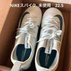 Nike ブルー スパイク22.5センチ