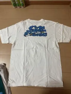 Item thumbnail for item 20550220-a6e4-4e84-ae40-c62ed039e660