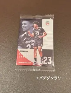 バレーボール　男子日本代表　ウエハース　エバデダンラリー