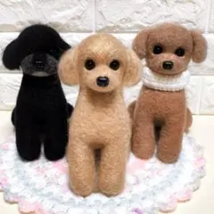 ぷっち様専用ページ