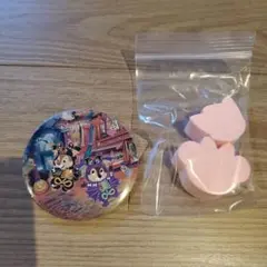 香港ディズニーランド ピンバッジ　チップとデール