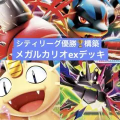 ポケモンカード　メガルカリオex メガジガルデex 構築済みデッキ