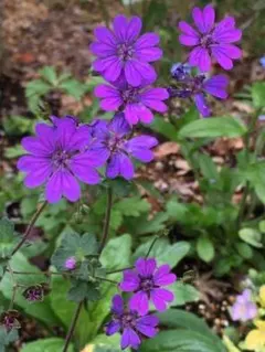 MO様 リクエスト 2点 まとめ商品