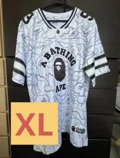 Item thumbnail for item 6d02f1ad-761a-4528-bd8f-5ed1687111d2