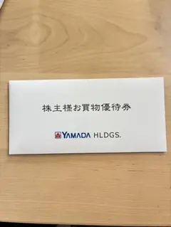 YAMADA HLDGS. お買物優待券 10枚セット
