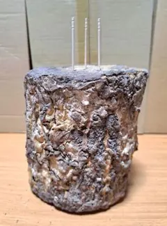 Item thumbnail for item d5819853-c264-4bc1-a769-10a75e4a5fcd