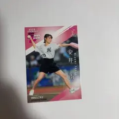 BBM 2025 2nd 始球式カード　安井南