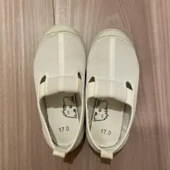 トラヤ　17センチ