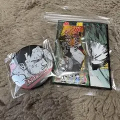 僕のヒーローアカデミア エンデヴァー