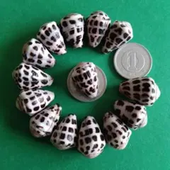 naptimeneko様 リクエスト 2点 まとめ商品