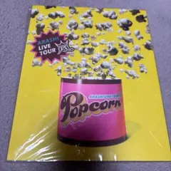 ARASHI LIVE TOUR Popcorn パンフレット