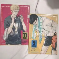 ハイキュー　最強ジャンプ　付録　クリアファイル2枚セット