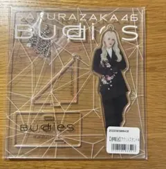 櫻坂46 小池美波 アクリルスタンドキーホルダー まとめ売り 櫻坂46 小池美波 アクリルスタンドキーホルダー まとめ売り